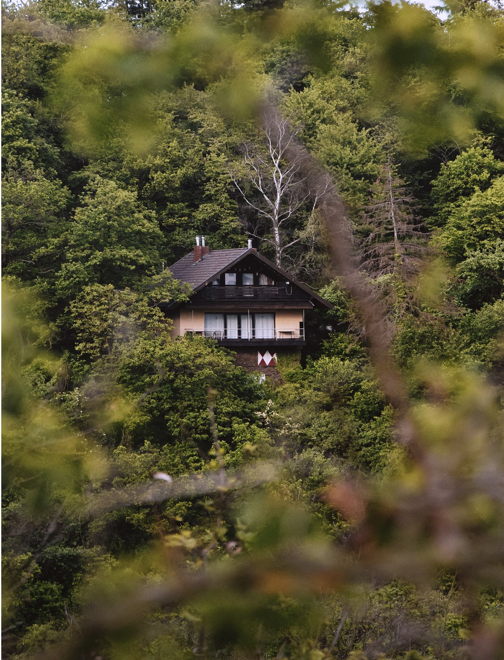 Maisons sans vis-à-vis, en pleine nature